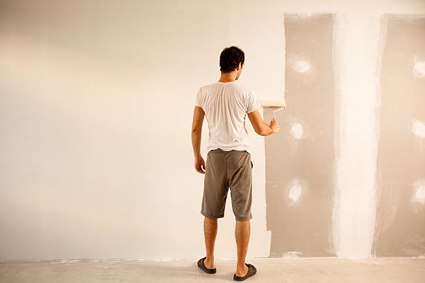 Reliable Fruitland, IA Dry wall and painting Solutions